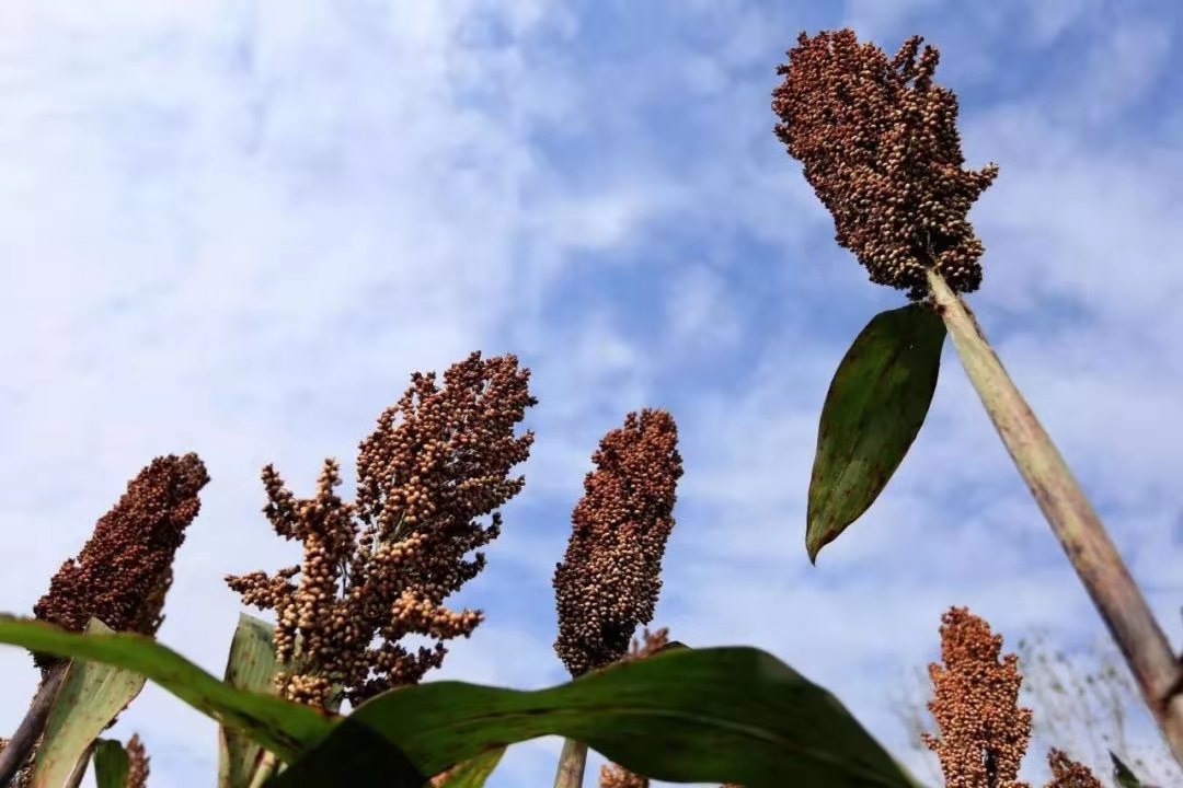 1573118933128259.jpg fa8930383bfad96b9e8bf36783d2343.jpg